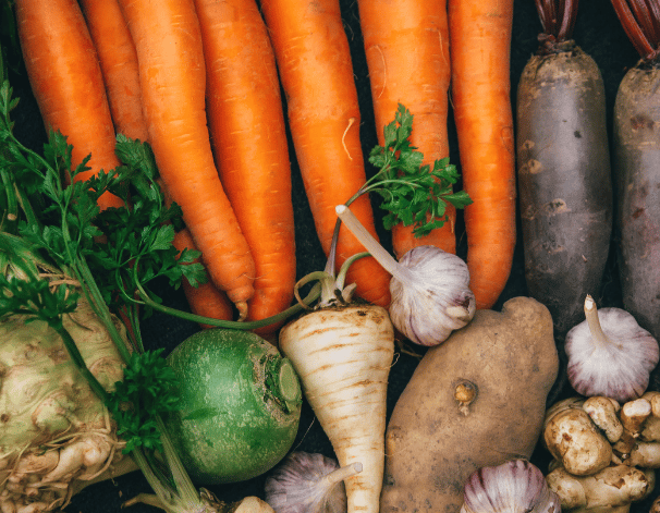 A selection of root crops - carrots, parsnips, beets, and more!