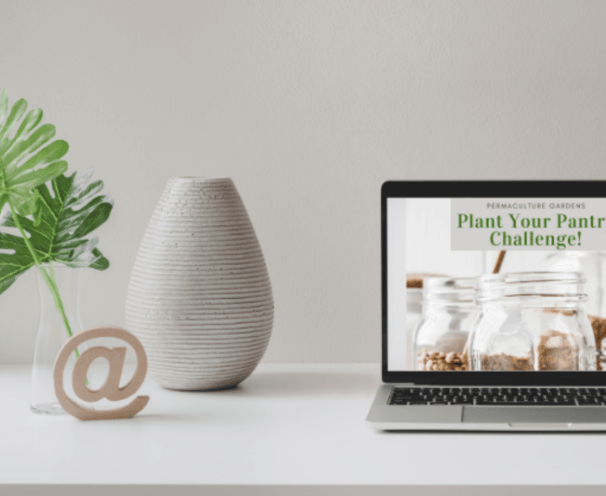 Laptop with Plant Your Pantry on it.