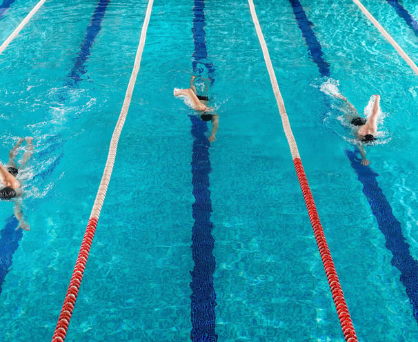 gruppo di persona che nuota in una piscina olimpionica