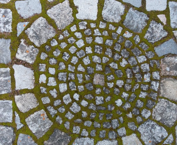mandala avec mousse sur sol en pierre, fondation, socle, terre