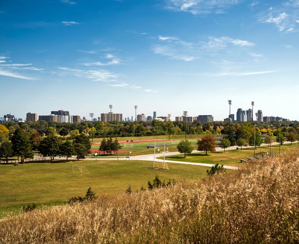 Park near the clove condos