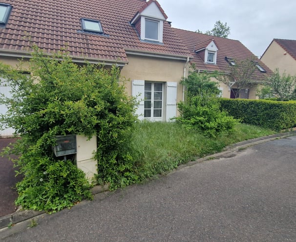 Pelouse jaunie et irrégulière