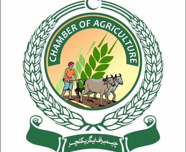 CFAPAK