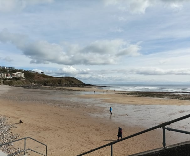 Dogs having fun on Langland Beach