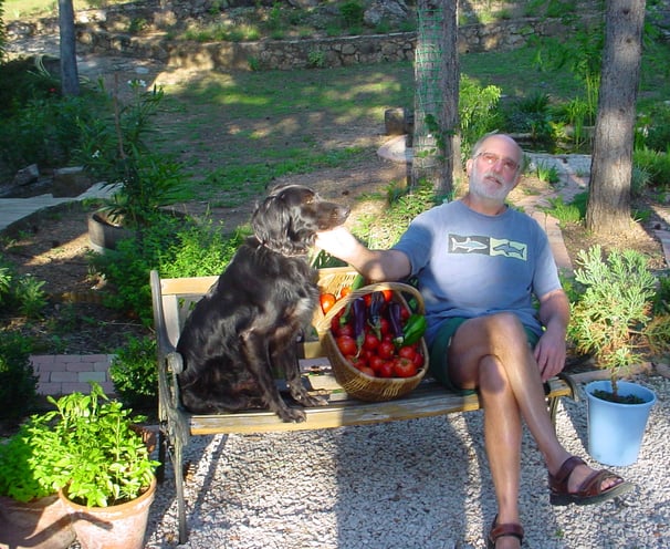 The master grower with a previous tomato harvest