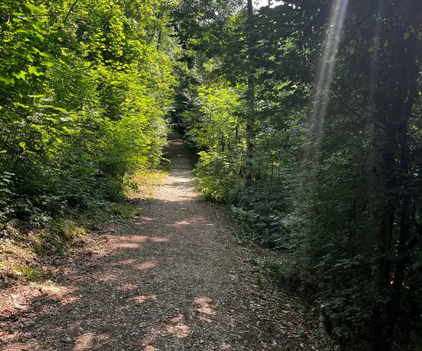 Chemin ombragé dans le parc du bois Vidal à Aix les Bains