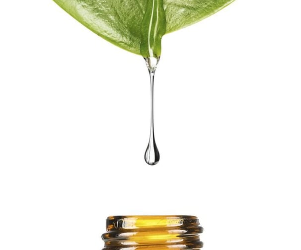 oil-infusion