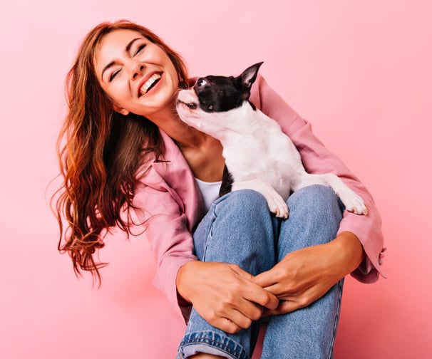 Protege a tu amigo de cuatro patas