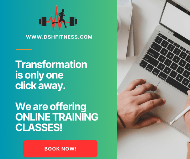 DSH Email Copy