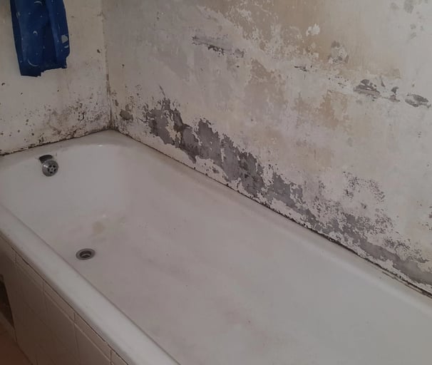 Condensation damp inspection Roodepoort