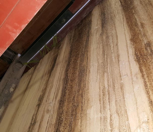 Lateral Damp
