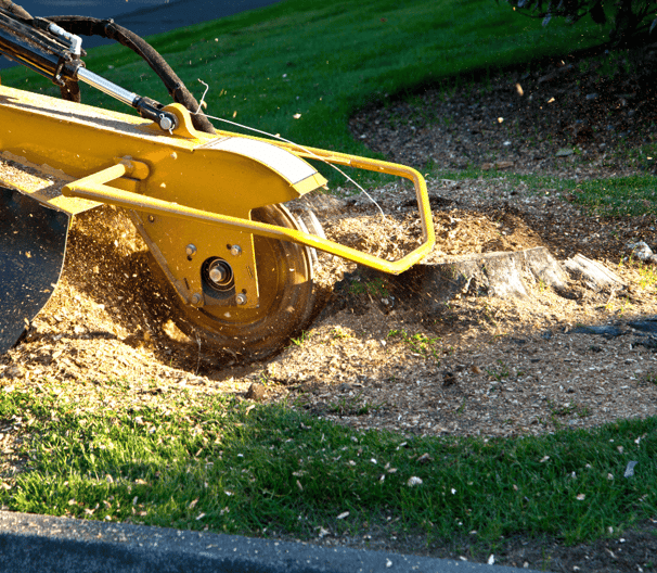 Stump Grinding