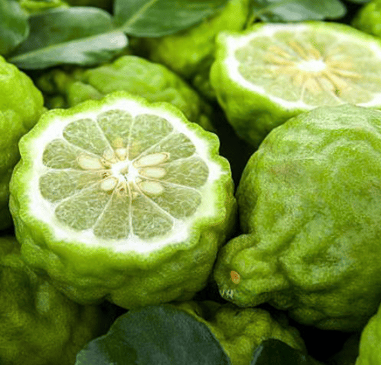 Zesty & Fresh - BERGAMOT & LIME