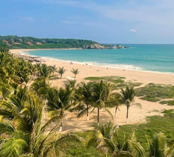 playa zicatela puerto escondido, showing beautiful sane and green waters with palm trees