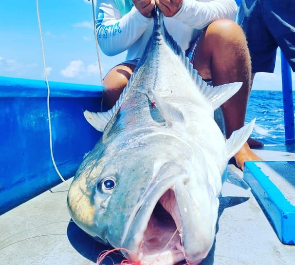 Latham Island Giant Trevally on the boat