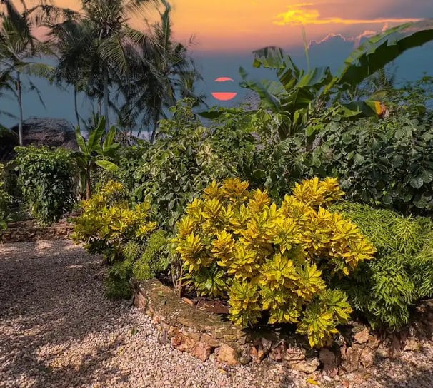 octopus_eco_garden_lodge_zanzibar_garden