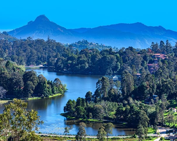 A beautiful valley with water flow and trees surrounding the water body