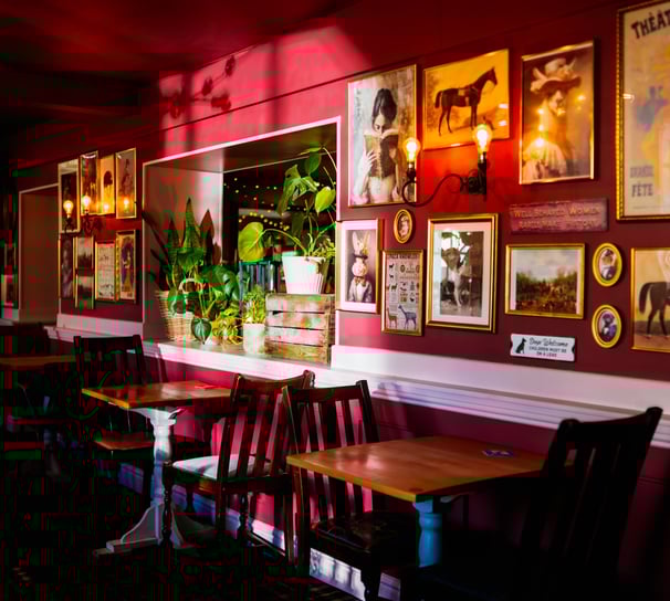 The snug area, with sorbet pink wall and lots of different quirky images and photos on the walls