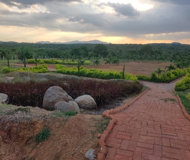 Jawadhu Hills Woodside Serene - Nature Retreat | Jawadhu Hills Woodside ...