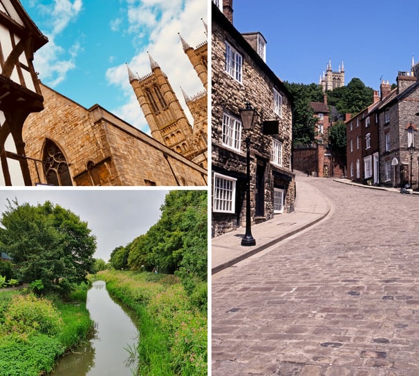 dog walking Lincoln prices