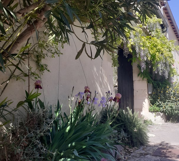 a house with a garden and a driveway