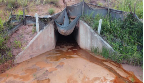 passagem de gado destruida