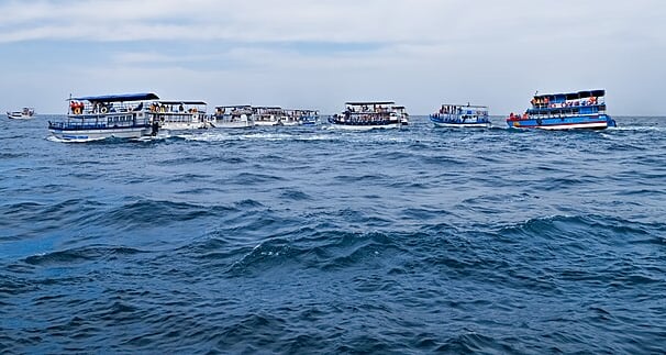 Whale watching - Sri Lanka south west coast tour package