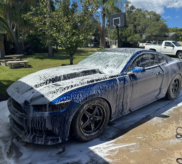 Mustang Covered In Soap After Being Washed