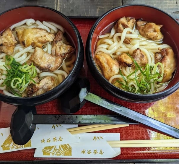 Udon noodles in Nara Park