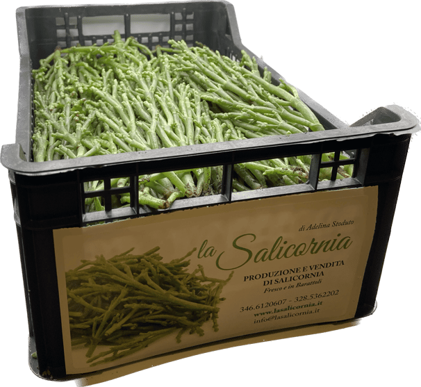 a crate of green beans and a box of beans