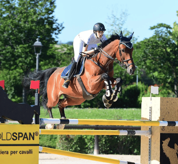 equitazione salto ostacoli