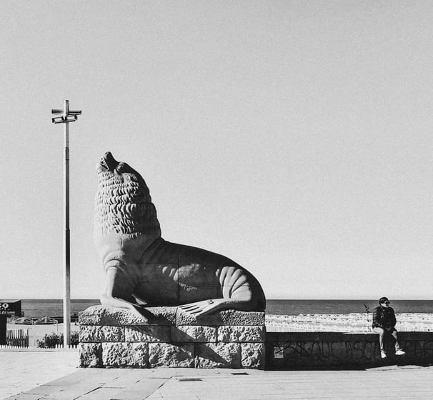 Mar del Plata