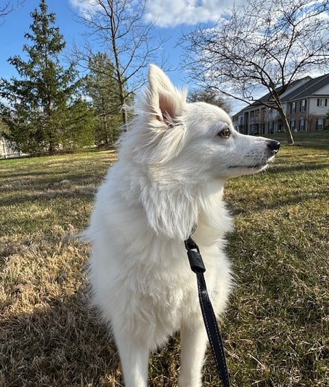 Our baby Kimba