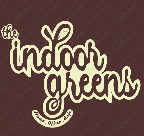 Modern logo featuring sleek typography & vibrant palette, reflecting expert brand identity design