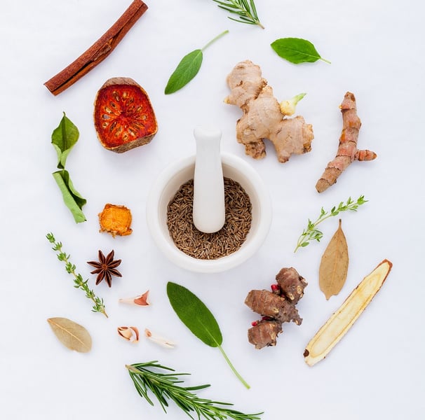 plantes comme méthode naturopathique