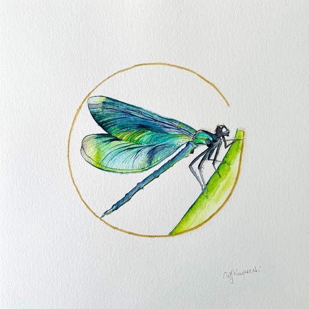 Emerald Green Dragonfly: Embracing Rebirth
