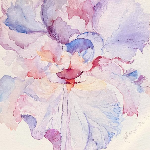 Weronika Kacperski Original Watercolor Amethyst Iris