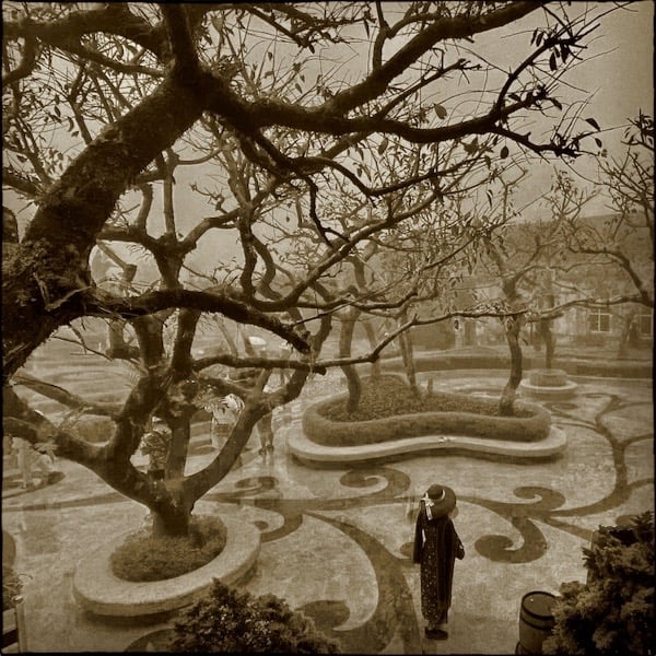 PeterPickering's photograph of a garden in Vietnam eerily mirrors Van Gogh's "Winter Garden"