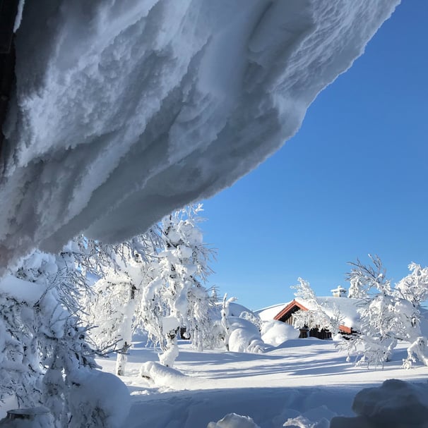 a person standing in the snow with a snowboard