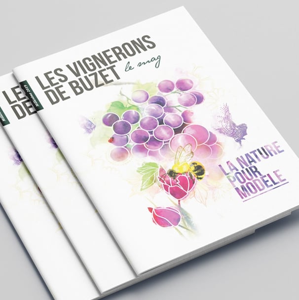 Les Vignerons de Buzet Le mag