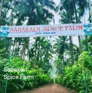 Sahakari spice farm