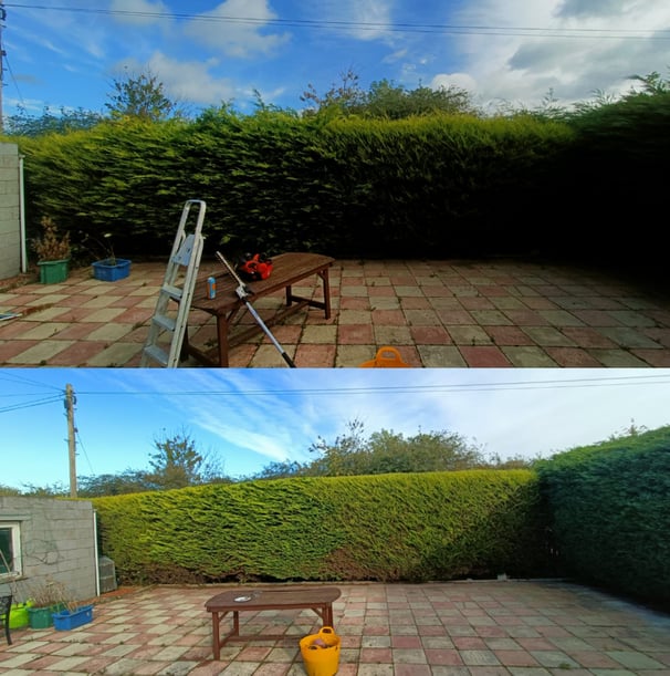 hedge cutting edinburgh