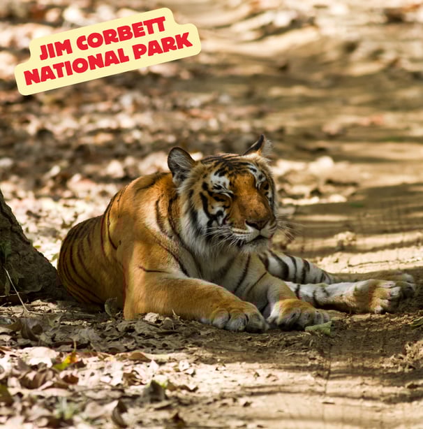 Jim Corbet national park