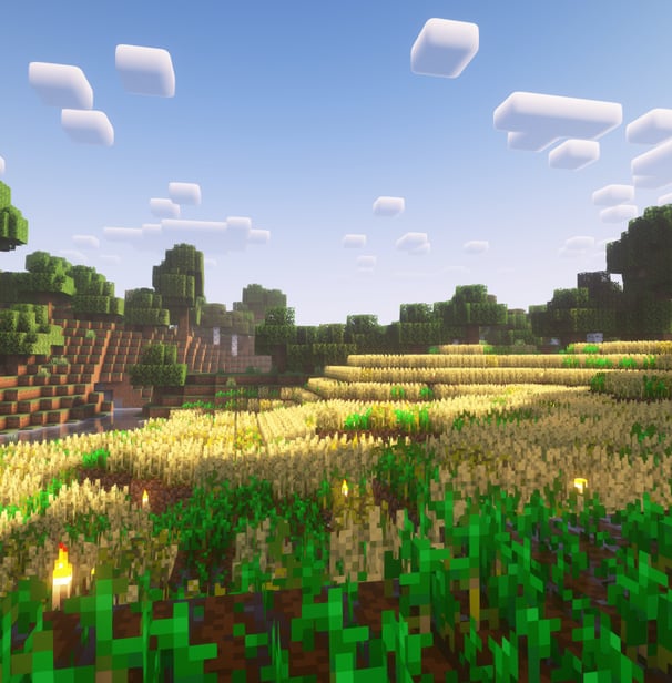 Pszenica Minecraft
