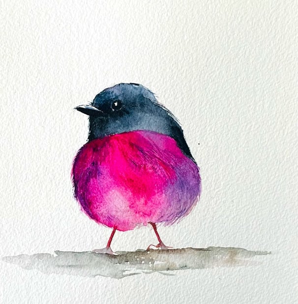 Australian Pink Robin Watercolor | Weronika Kacperski