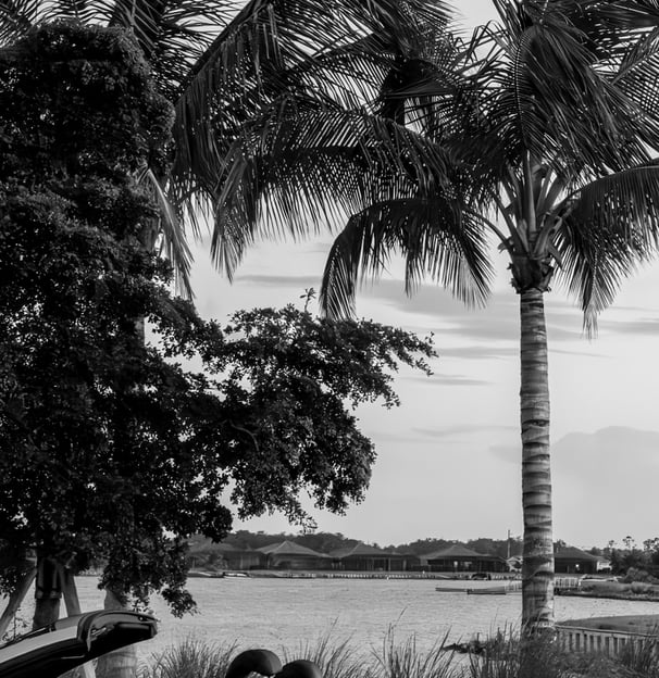 a convertible mercedes sl55 amg parked in front of palm trees and a lake in wildblue resort estero 
