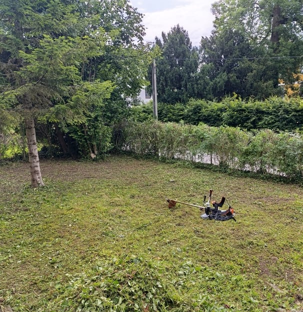 Garten-Rodung nachher