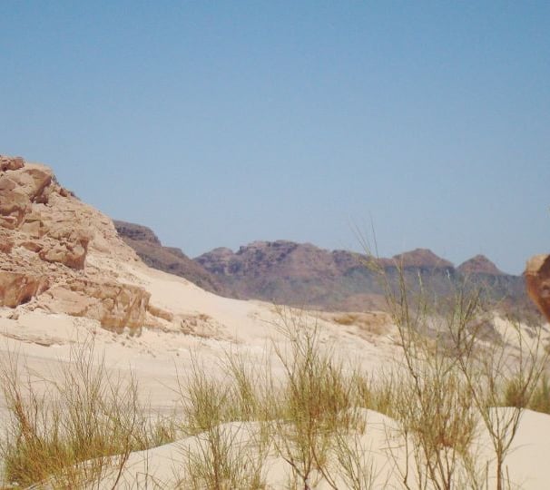 Desert safari Bedouin star Egypt