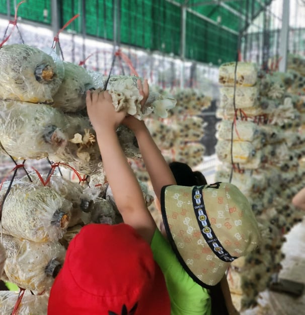 Trải nghiệm nông trại tại trung tâm can thiệp sớm Hoa Nắng Hà Đông