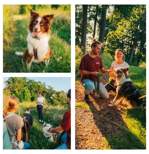 Alltagstraining für Hund und Mensch in der Hundeschule Takoda in Göttingen